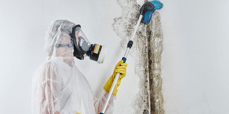 Person in a protective hazmat suit and respirator uses a long-handled brush to scrub mold from a stained white wall, suggesting thorough cleanup.