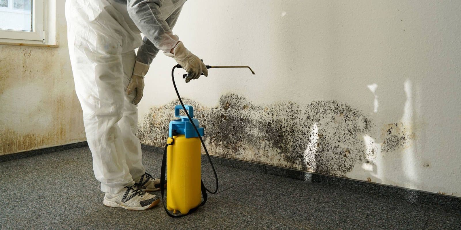 Worker in protective coveralls sprays a moldy wall with a yellow pump sprayer, highlighting mold remediation and home sanitation.
