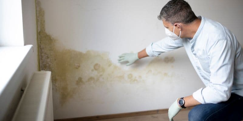 Masked technician in gloves examines mold and water damage on a stained wall, highlighting concerns about indoor air quality and home safety.