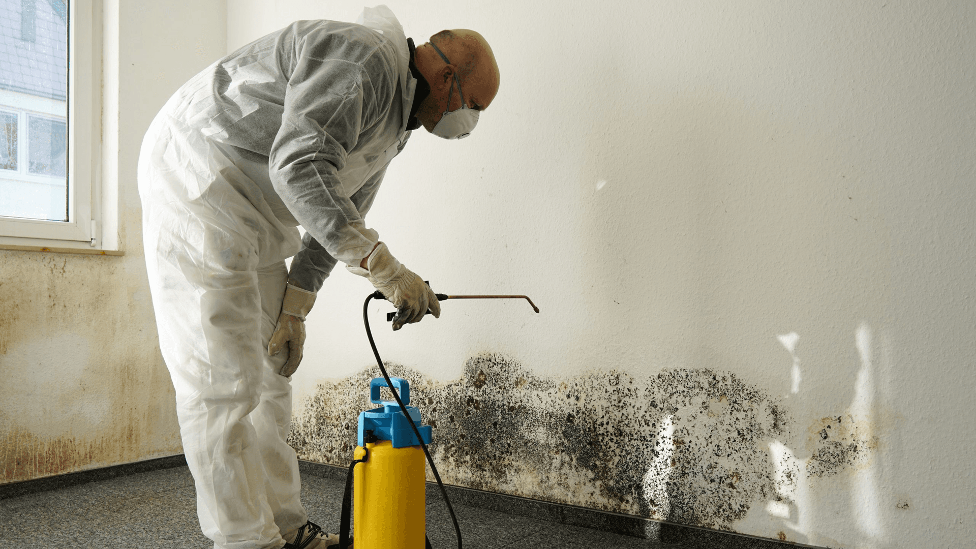 Technician wearing protective coveralls, gloves, and a respirator applying antimicrobial treatment to a mold-affected interior wall as part of a professional mold remediation process.