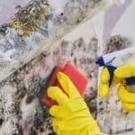 Thumbnail image of Hands wearing protective gloves spraying and scrubbing mold from a contaminated wall and pipe, demonstrating professional mold cleaning and surface treatment.