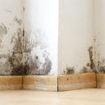 Thumbnail image of Mold growth and moisture damage along the bottom of a white interior wall above a wooden baseboard.
