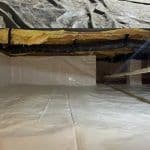 Thumbnail image of Clean encapsulated crawlspace with a sealed white vapor barrier covering the floor and foundation walls to provide long-term moisture protection.